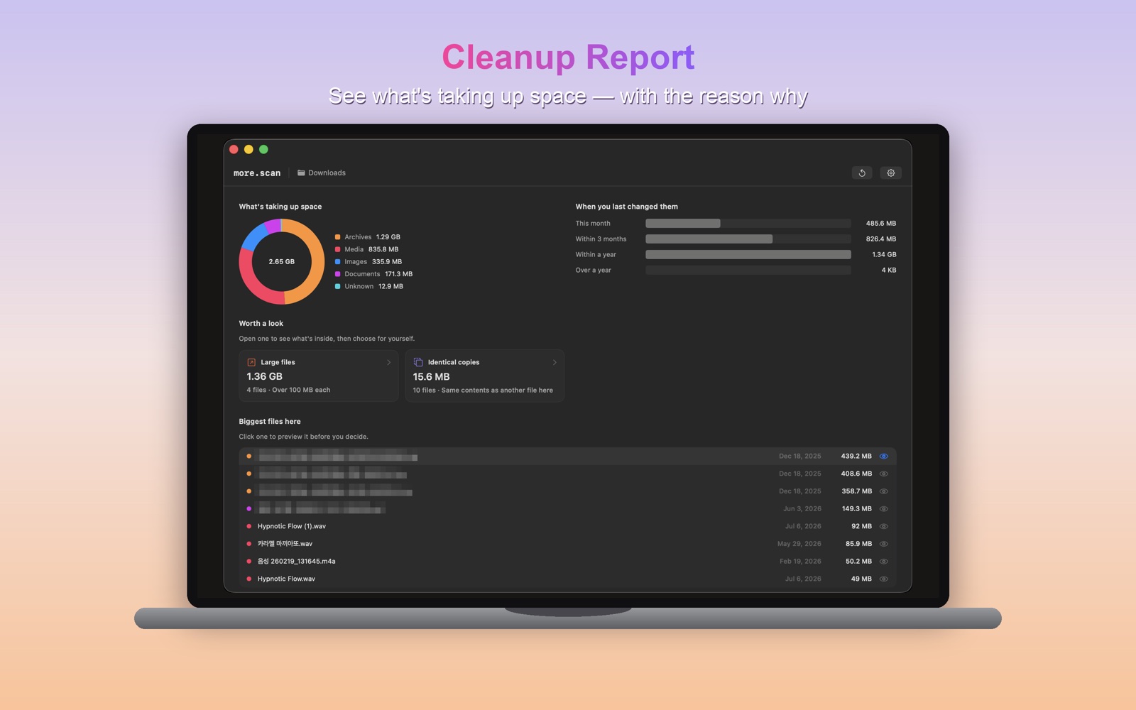 more.scan cleanup report